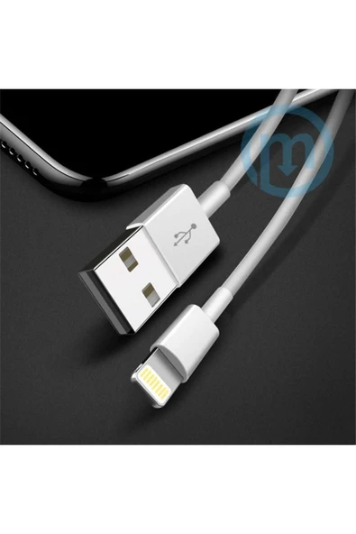 Apple Lightning - USB Kablosu (1 m) - MXLY2ZM/A - Resim 4