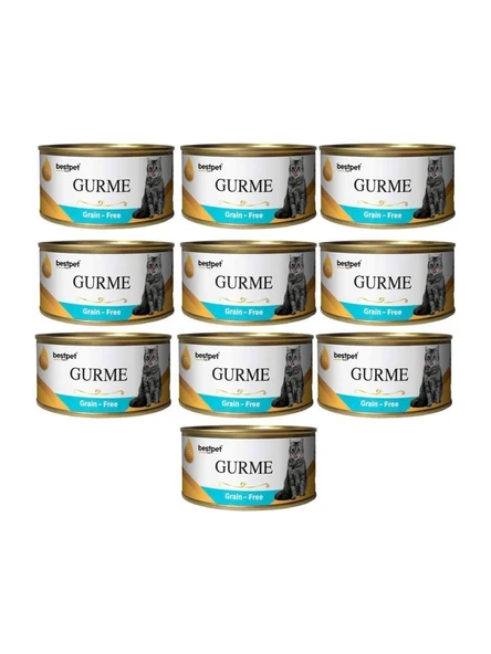 Bestpet Gurme Kedi Konservesi Ton ve Hamsi Parça Etli 100 gr 10 Adet ürün görseli 1