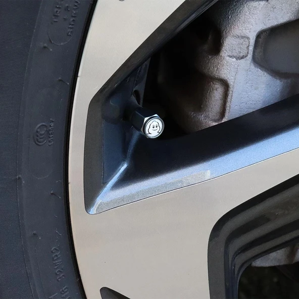 Michelin MC34273 Michelin Logolu Metal Universal Sibop Kapağı 4 Adet - Resim 3