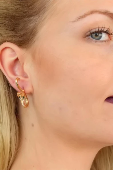 HEYF Yılan Tasarım Bayan Küpe ürün görseli 1