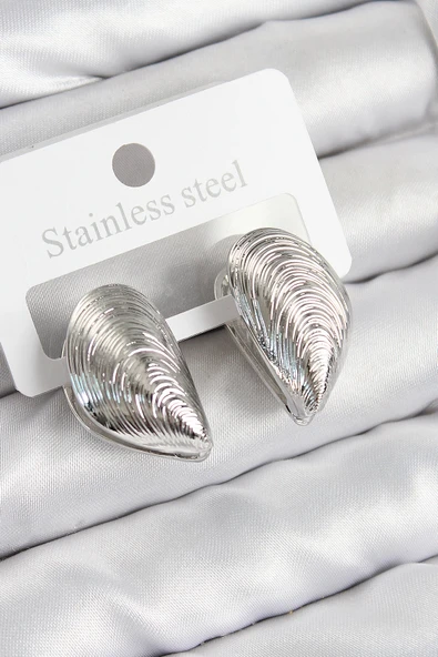 HEYF Pirinç İstiridye Model Gümüş Renk Kadın Küpe ürün görseli 1