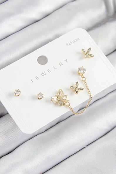 HEYF Pirinç Zirkon Taşlı Kelebek Model Gold Renk 925 Ayar Gümüş Çivi Kadın Küpe Set ürün görseli 1
