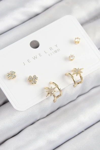 HEYF Pirinç Zirkon Taşlı Kutup Yıldızı Model Gold Renk 925 Ayar Gümüş Çivi Kadın Küpe Set ürün görseli 1