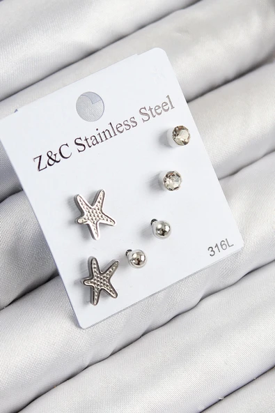 HEYF 316L Çelik Zirkon Taşlı Deniz Yıldızı Model Gümüş Renk Kadın Set Küpe ürün görseli 1