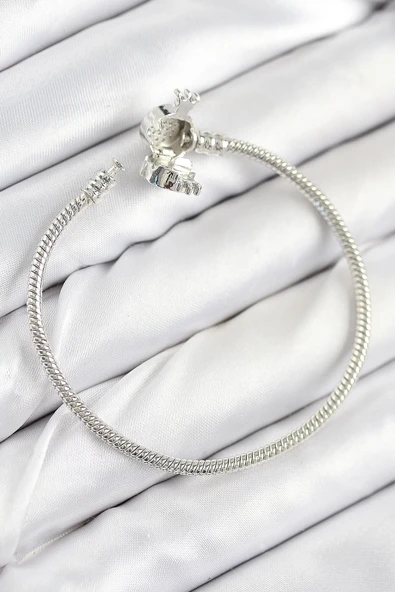 HEYF Pirinç Charm Zirkon Taşlı Taç Model Gümüş Renk Kadın Bileklik - Resim 2