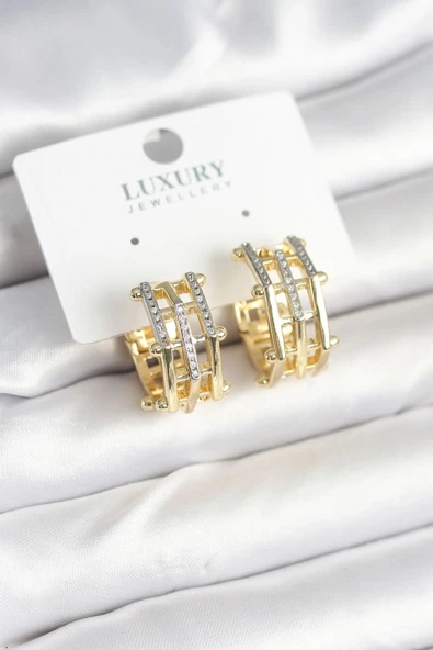 HEYF Pirinç Gold Renk Taşlı Halka Kadın Küpe ürün görseli 1