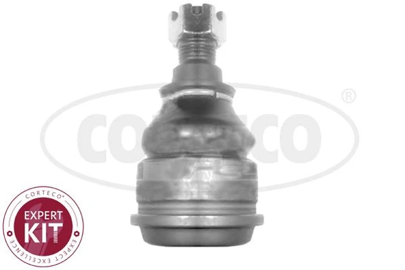Honda Rotıl Alt Honda CIVIC VI 2001-2005 - Corteco 49399503 ürün görseli