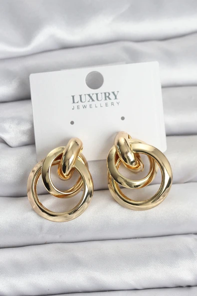 HEYF Gold Renk Halka Model Pirinç Kadın Küpe ürün görseli 1