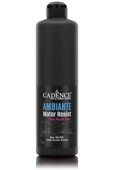 Ambiante Islak Zemin Boyası Aw24 Siyah 500ml + Katalizör 20gr ürün görseli 1
