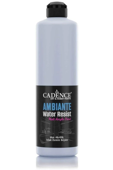 Ambiante Islak Zemin Boyası Aw08 Arduvaz Gri 500ml + Katalizör 20gr ürün görseli 1