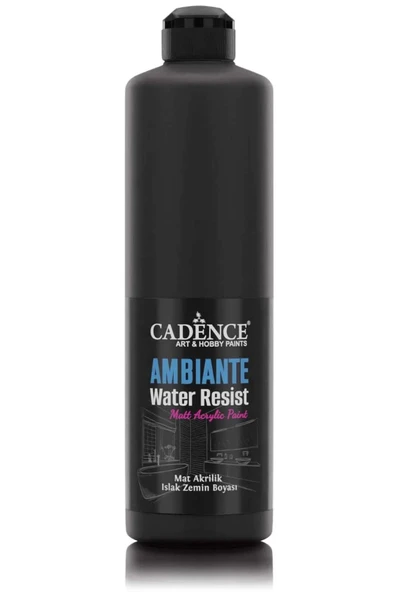 AMBIENTE SUYA DAY. AKR. BOYA AW-24 SİYAH 500ML + KATALİZÖR 20GR ürün görseli 1