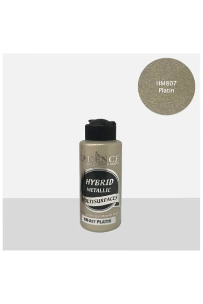 Hm807 Platin ürün görseli 1