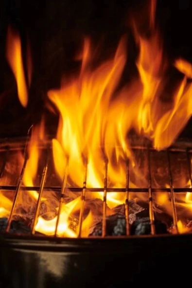 Reşo Mangal Kamp Yakıtı 5 Lt - Resim 4