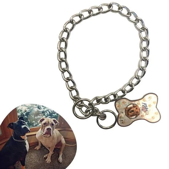 heyf HEYF® 65 cm Uzunlukta Zincir Model Köpek İçin Boyun Tasması ürün görseli 1