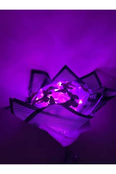 Led Işıklı Kelebek Buketi Pembe - Resim 2