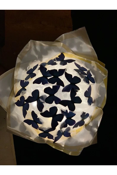 MAVİ KELEBEK BUKETİ ürün görseli 1