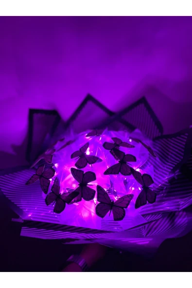 Led Işıklı Kelebek Buketi Pembe ürün görseli 1