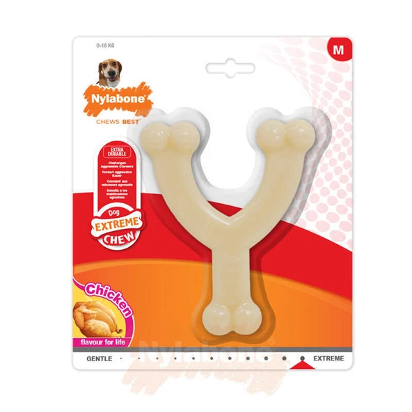999065-Nylabone Tavuk Aromalı Köpek Çiğneme Kemiği M 15 Cm ürün görseli 1