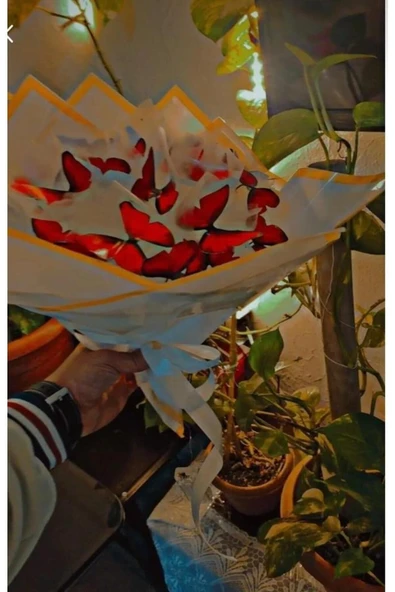 Led Işıklı Kırmızı Kelebek Çiçek Buketi - Resim 3