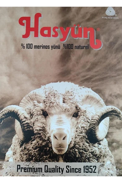 Hasyün Erkek %100 Yün Kısa Kollu Atlet Fanila İçlik 1000E - 1 Adet  XL Ekru - Resim 4