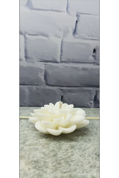 Pinhomedizayn Lotus %100 soya mum 3 adet