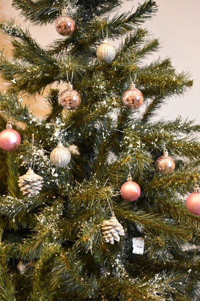 Waldern Yılbaşı Hediye Paketi Süs Ev 12 Parça - Resim 4