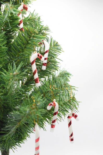 Waldern 6lı Şeker Kamışı Yılbaşı Süs 17cm XL ürün görseli