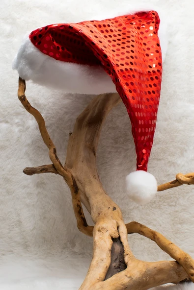 Waldern Yılbaşı Pullu Noel Baba Şapka - Resim 3