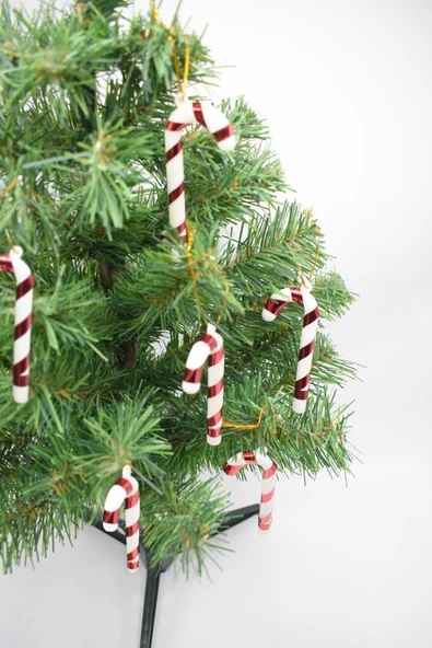 Waldern 6lı Şeker Kamışı Yılbaşı Süs 8cm - Resim 3