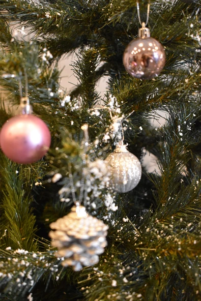 Waldern Yılbaşı Hediye Paketi Süs Ev 12 Parça - Resim 3