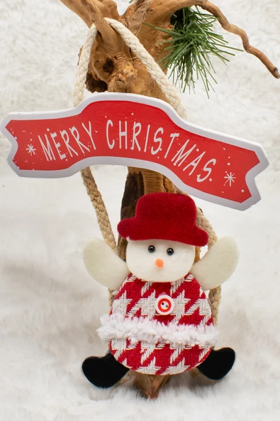 Waldern Profesör Merry Christmas Yılbaşı Kapı Süsü 26CM ürün görseli