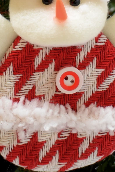 Waldern Profesör Merry Christmas Yılbaşı Kapı Süsü 26CM - Resim 2