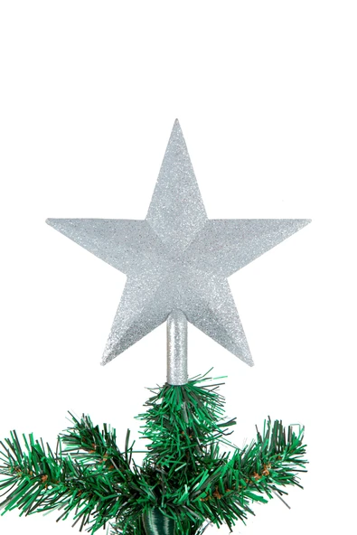 Waldern Yılbaşı Çam Ağacı Tepeliği Içi Dolu 20cm Gümüş ürün görseli