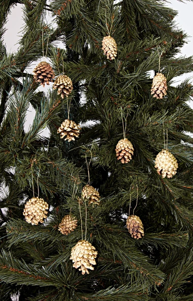 Waldern Yılbaşı Çam Ağacı Süsü Kozalak 12li Altın - Resim 5