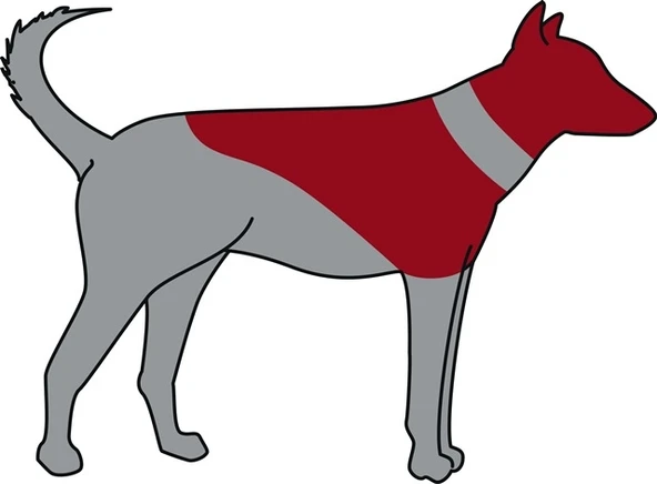 Trixie Köpek Koruyucu Şişme Yakalık Xs Mavi - Resim 2