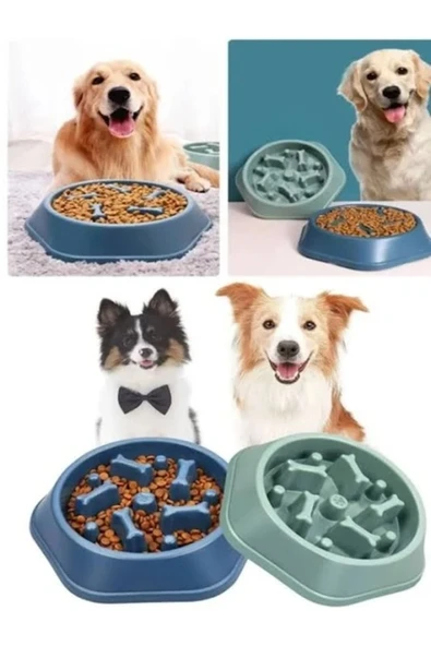 Kedi-köpek Yavaş Yeme Mama Kabı Obezite Önleyici Sindirim Düzenleyici Mama Kabı ürün görseli