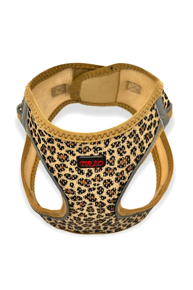 Pets Carnival Kedi Köpek Air-mesh Göğüs Tasması Ve Gezdirme Sevk Kayışı Seti Leopar 2si1 Arada - 4