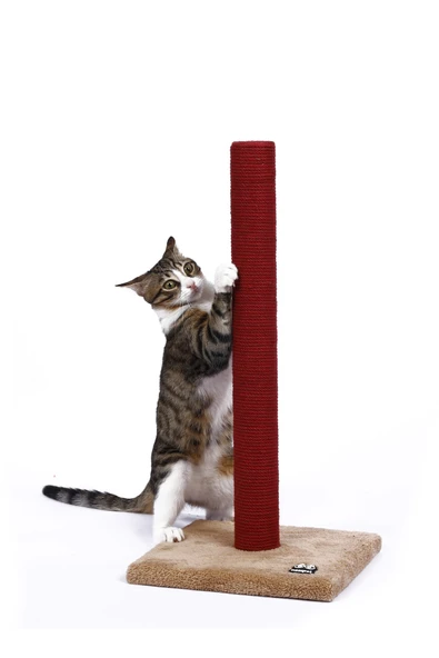 NazzPet Kedi Tekli Tırmalama 60 cm - 2