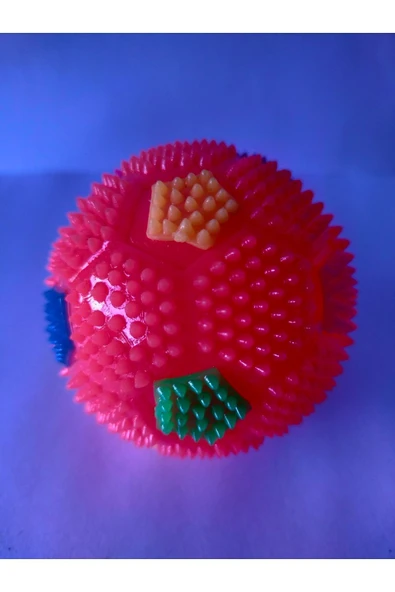 CAN SPORTS Sesli Ve Renkli Işıklı Top Oyuncak