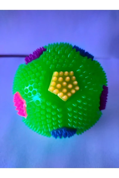 CAN SPORTS Sesli Ve Renkli Işıklı Top Oyuncak - 2
