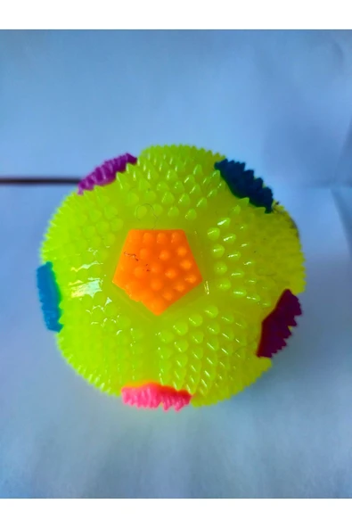 CAN SPORTS Sesli Ve Renkli Işıklı Top Oyuncak - 4