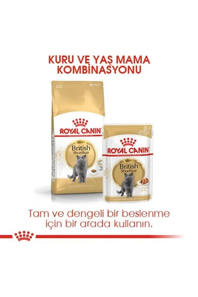 Royal Canin British Shorthair Adult Kedi Kuru Maması 2 Kg - 5