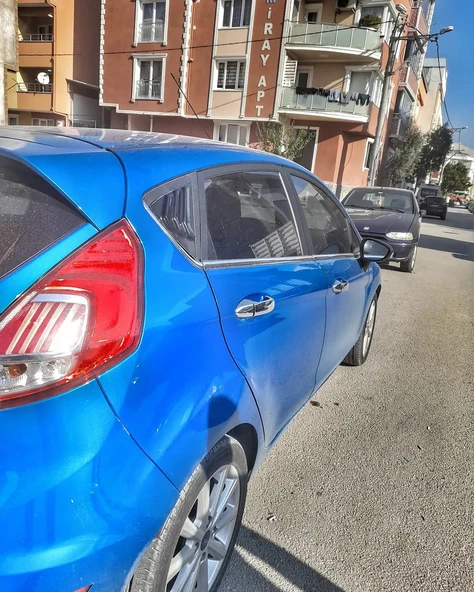 FİESTA KELEBEK CAM IZGARASI - Resim 2