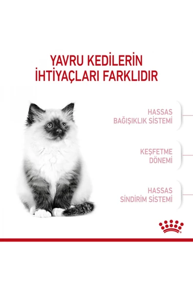 Royal Canin Kıttenyavru Kediler Için Kuru Kedi Maması 4kg - 6