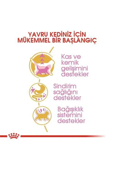 Royal Canin British Shorthair için Yavru Kedi Maması 2kg - 3