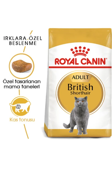 Royal Canin British Shorthair Adult Kedi Kuru Maması 2 Kg - 2