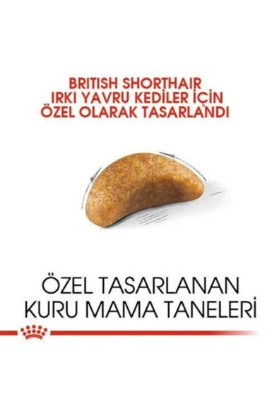Royal Canin British Shorthair için Yavru Kedi Maması 2kg - 2