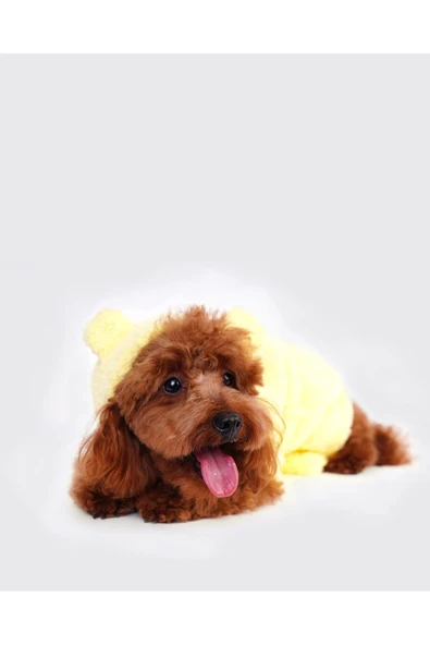 Moshiqa Baby Chick Köpek Bornozu XL - 3