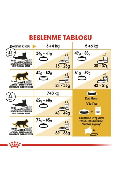 Royal Canin British Shorthair Için Kuru Kedi Maması 4kg - 7