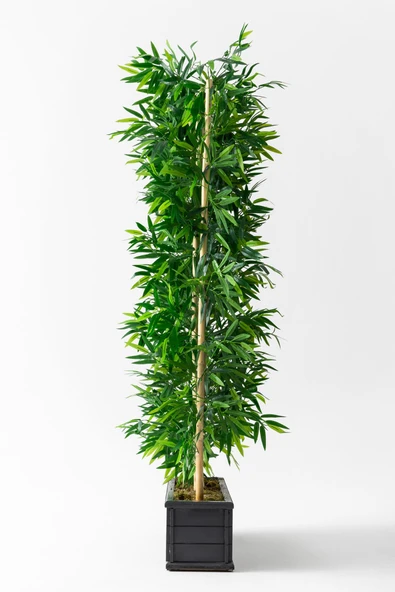 Yapay Bambu Seperatör Ahşap Antrasit Saksı 175 Cm - Resim 3